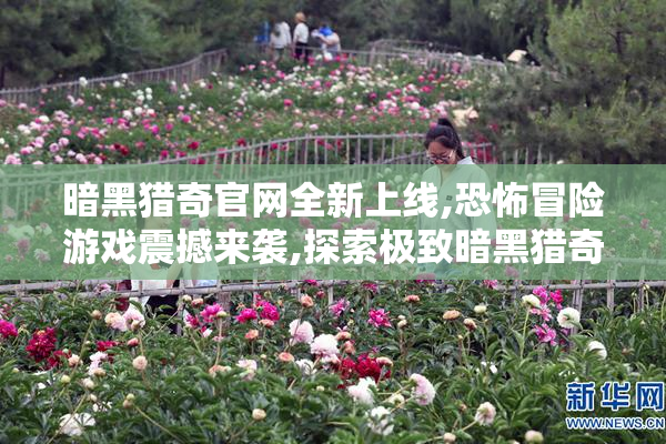 暗黑猎奇官网全新上线,恐怖冒险游戏震撼来袭,探索极致暗黑猎奇世界