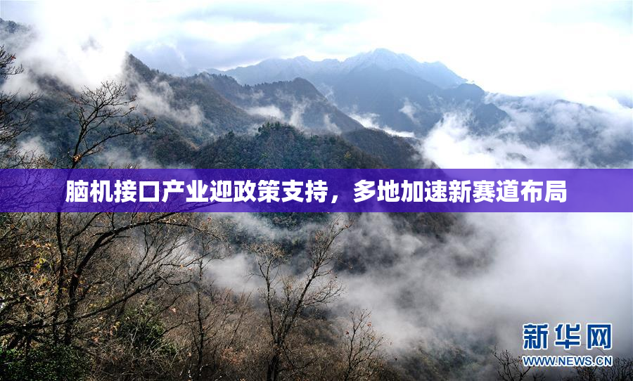 脑机接口产业迎政策支持，多地加速新赛道布局