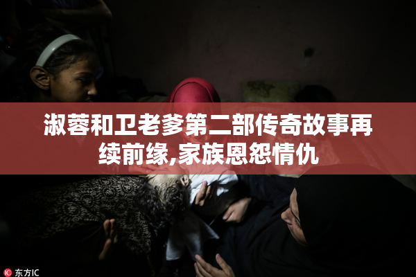 淑蓉和卫老爹第二部传奇故事再续前缘,家族恩怨情仇