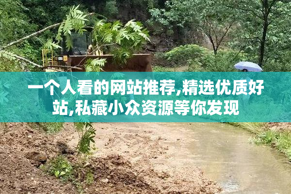 一个人看的网站推荐,精选优质好站,私藏小众资源等你发现