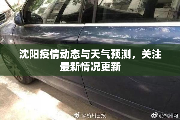 沈阳疫情动态与天气预测，关注最新情况更新