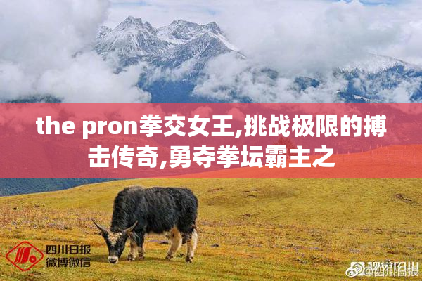 the pron拳交女王,挑战极限的搏击传奇,勇夺拳坛霸主之