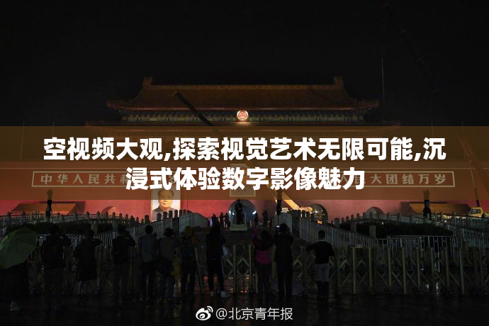 空视频大观,探索视觉艺术无限可能,沉浸式体验数字影像魅力