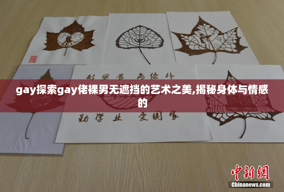 gay探索gay佬裸男无遮挡的艺术之美,揭秘身体与情感的