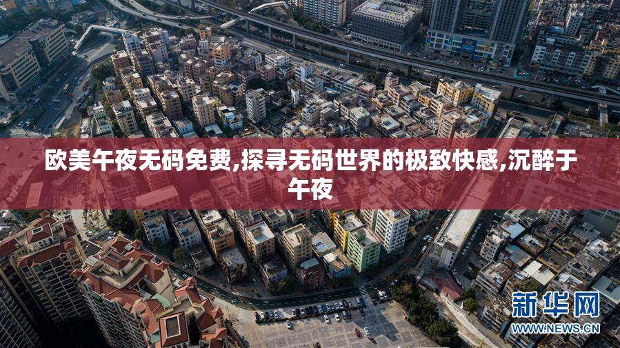 欧美午夜无码免费,探寻无码世界的极致快感,沉醉于午夜
