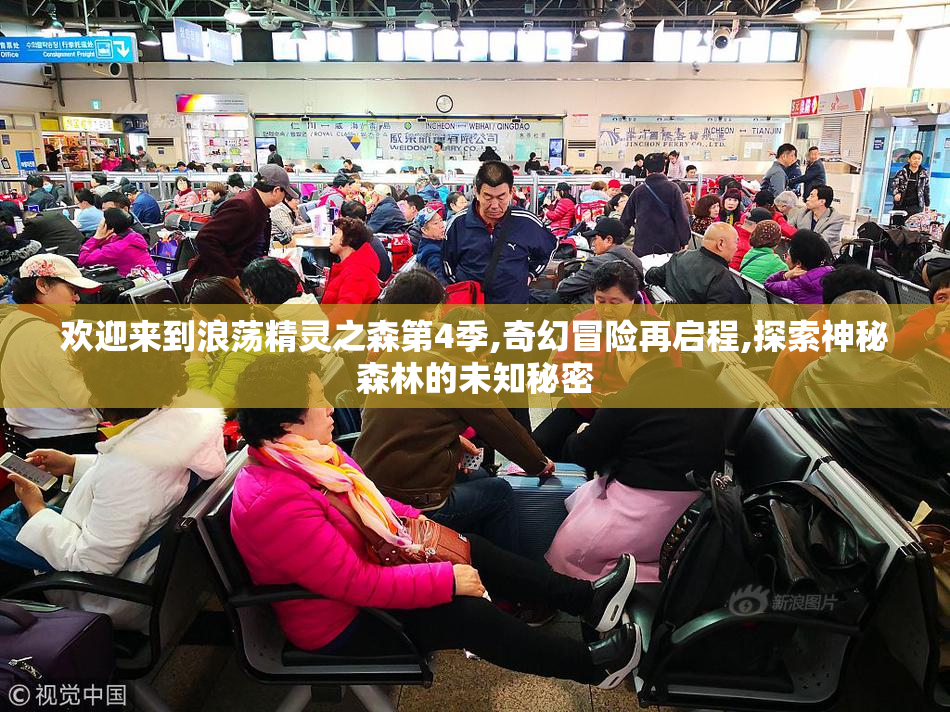 欢迎来到浪荡精灵之森第4季,奇幻冒险再启程,探索神秘森林的未知秘密