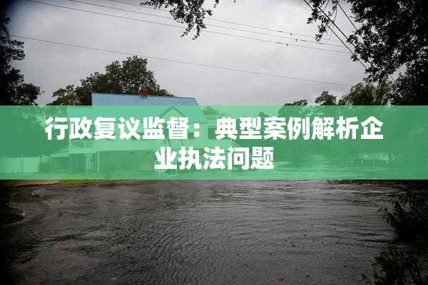 行政复议监督：典型案例解析企业执法问题