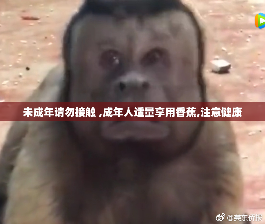 未成年请勿接触 ,成年人适量享用香蕉,注意健康