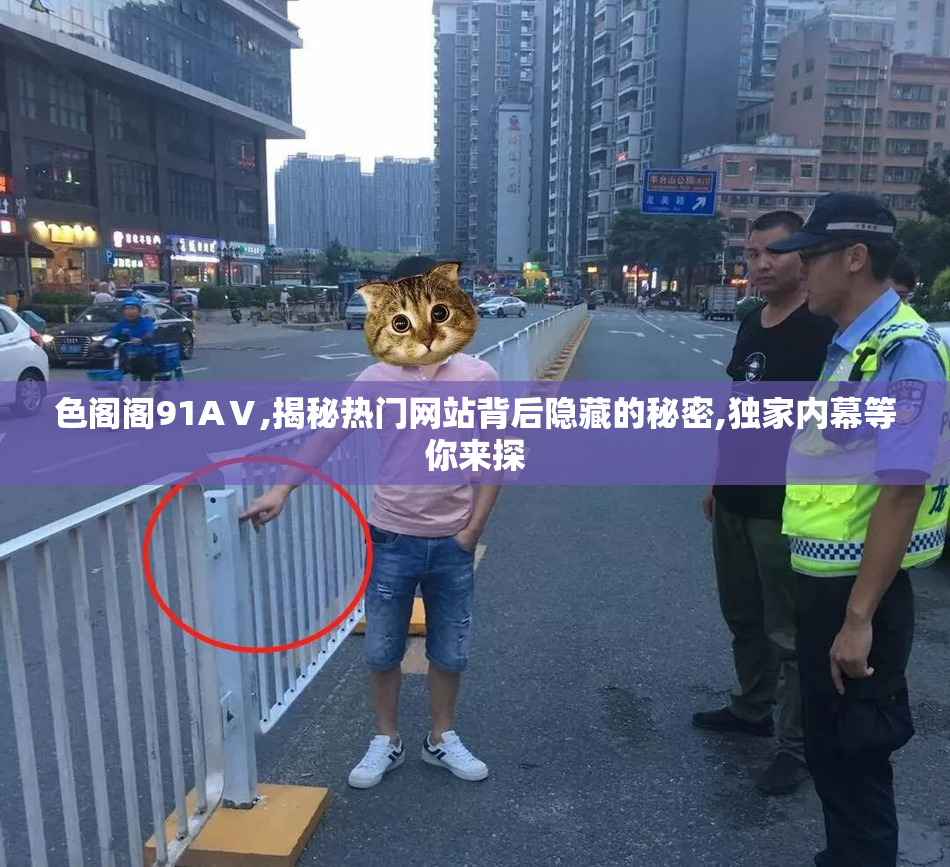 色阁阁91AⅤ,揭秘热门网站背后隐藏的秘密,独家内幕等你来探