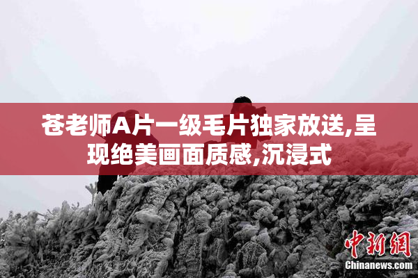 苍老师A片一级毛片独家放送,呈现绝美画面质感,沉浸式