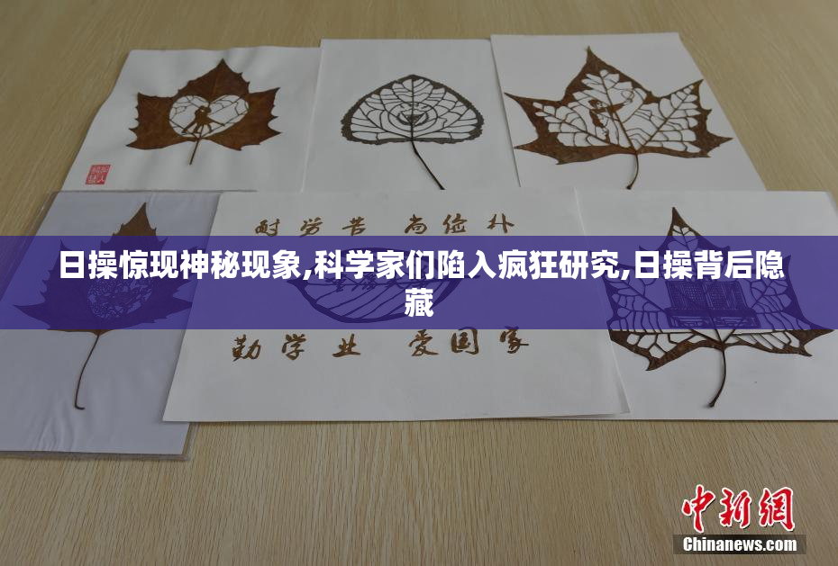 日操惊现神秘现象,科学家们陷入疯狂研究,日操背后隐藏