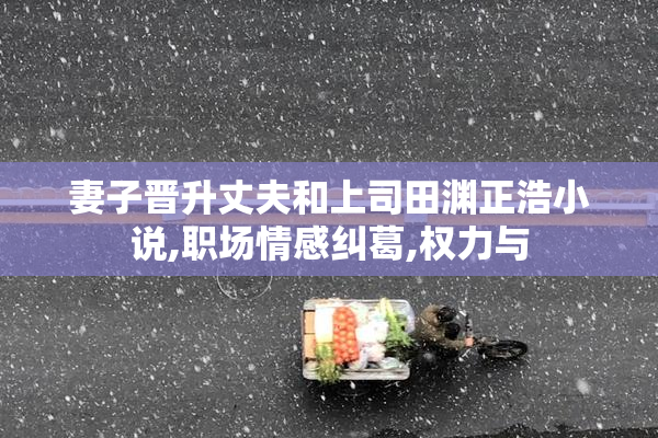 妻子晋升丈夫和上司田渊正浩小说,职场情感纠葛,权力与