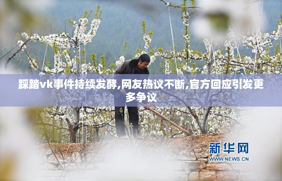 踩踏vk事件持续发酵,网友热议不断,官方回应引发更多争议