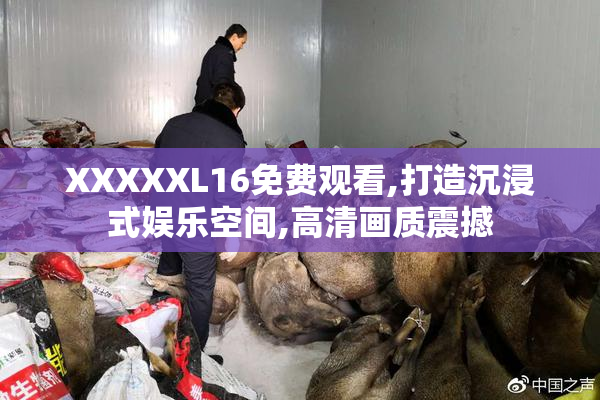 XXXXXL16免费观看,打造沉浸式娱乐空间,高清画质震撼