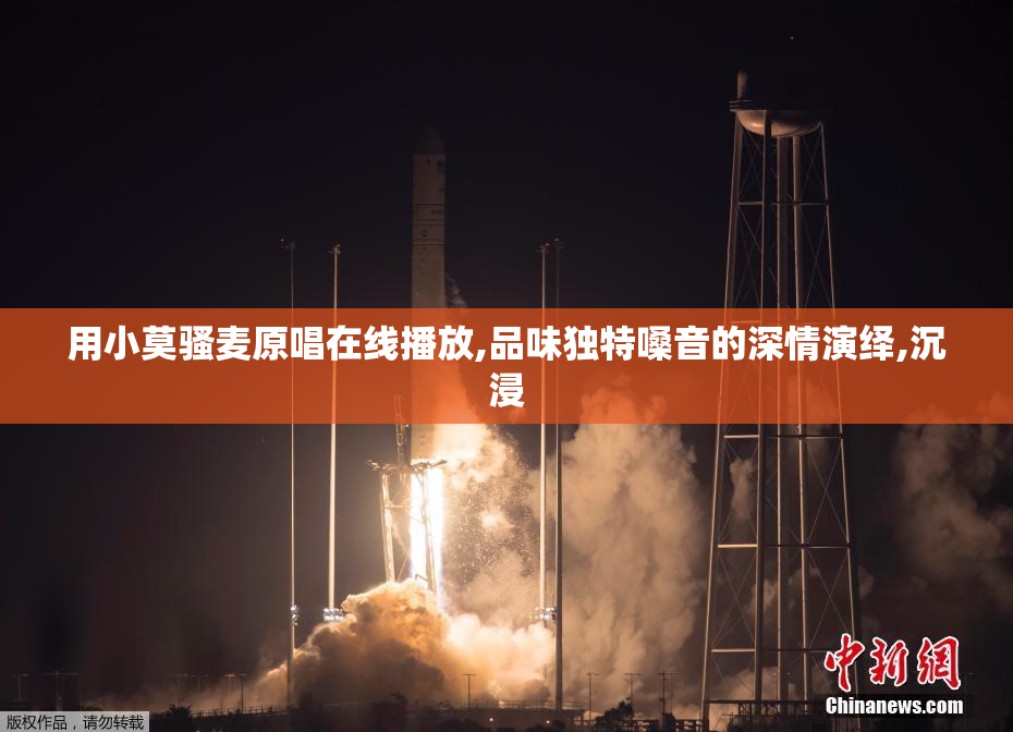 用小莫骚麦原唱在线播放,品味独特嗓音的深情演绎,沉浸
