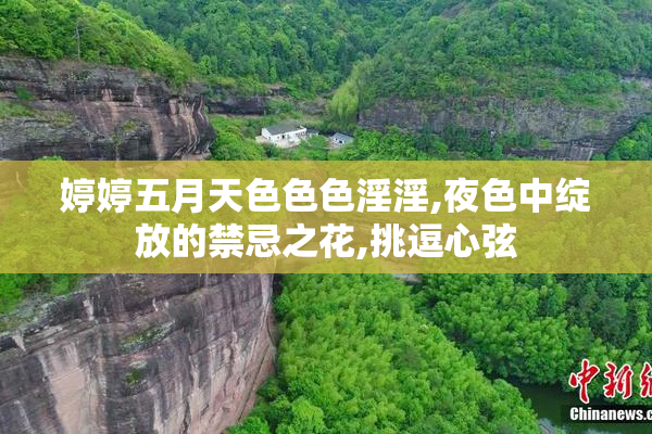 婷婷五月天色色色淫淫,夜色中绽放的禁忌之花,挑逗心弦