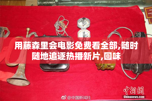 用藤森里会电影免费看全部,随时随地追逐热播新片,回味