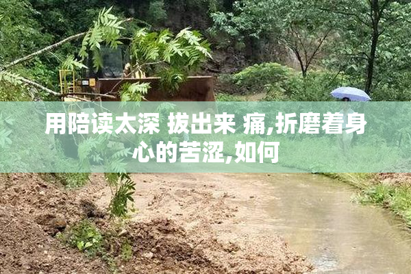 用陪读太深 拔出来 痛,折磨着身心的苦涩,如何