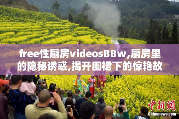 free性厨房videosBBw,厨房里的隐秘诱惑,揭开围裙下的惊艳故事