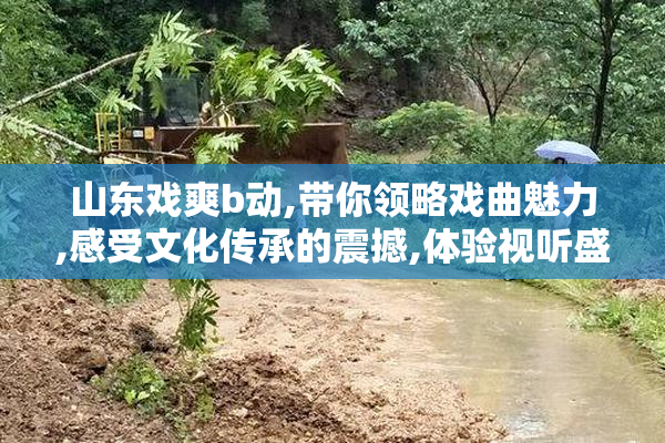 山东戏爽b动,带你领略戏曲魅力,感受文化传承的震撼,体验视听盛宴