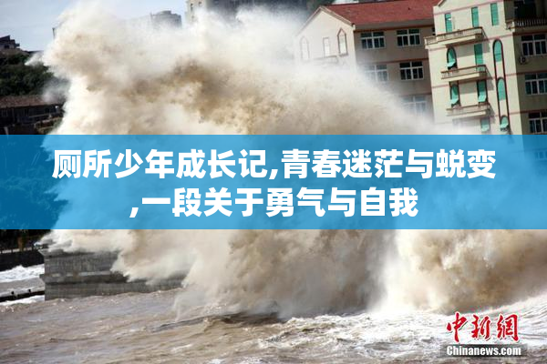 厕所少年成长记,青春迷茫与蜕变,一段关于勇气与自我