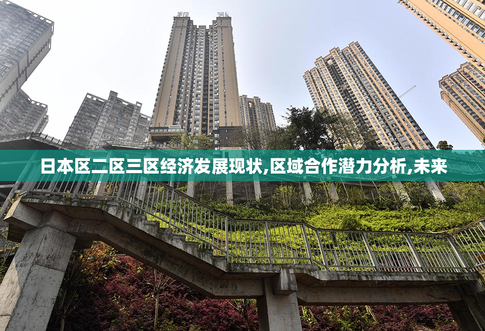 日本区二区三区经济发展现状,区域合作潜力分析,未来