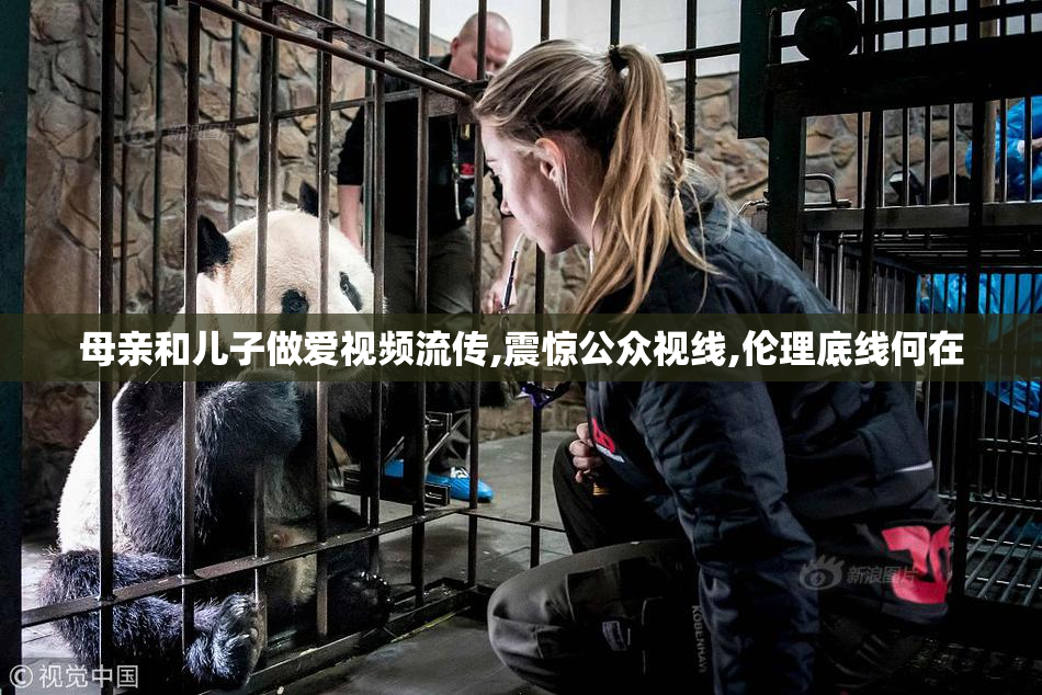 母亲和儿子做爱视频流传,震惊公众视线,伦理底线何在