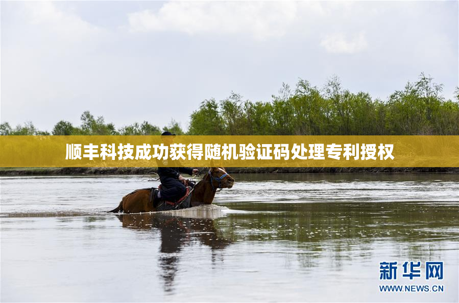 顺丰科技成功获得随机验证码处理专利授权