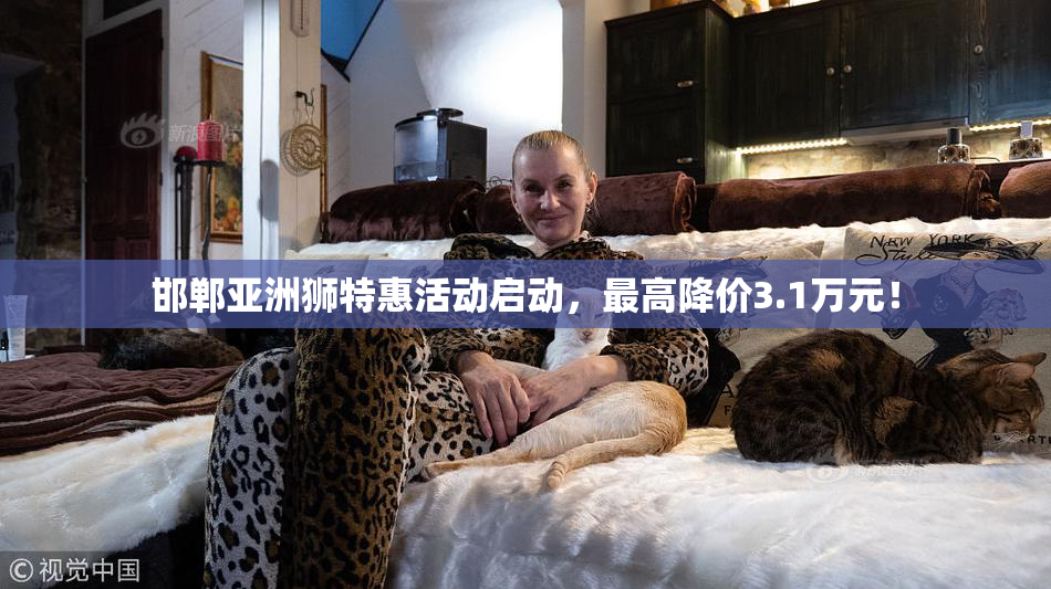 邯郸亚洲狮特惠活动启动，最高降价3.1万元！