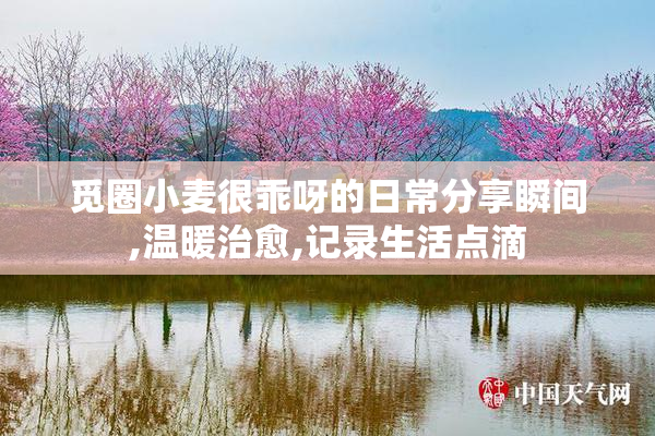 觅圈小麦很乖呀的日常分享瞬间,温暖治愈,记录生活点滴