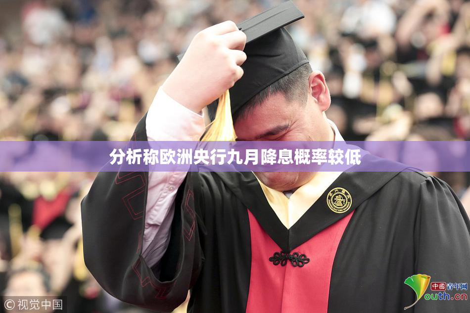 分析称欧洲央行九月降息概率较低
