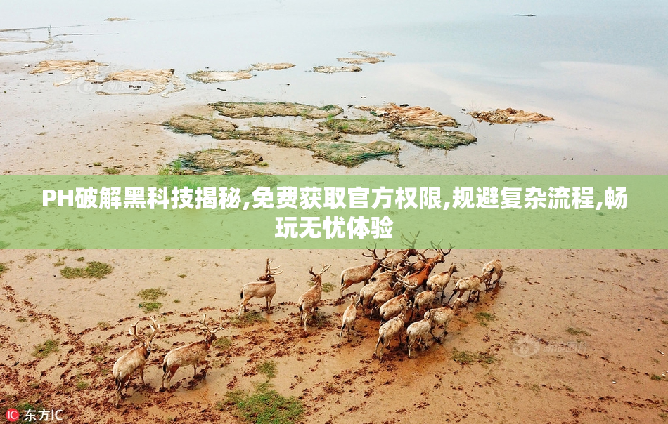 PH破解黑科技揭秘,免费获取官方权限,规避复杂流程,畅玩无忧体验