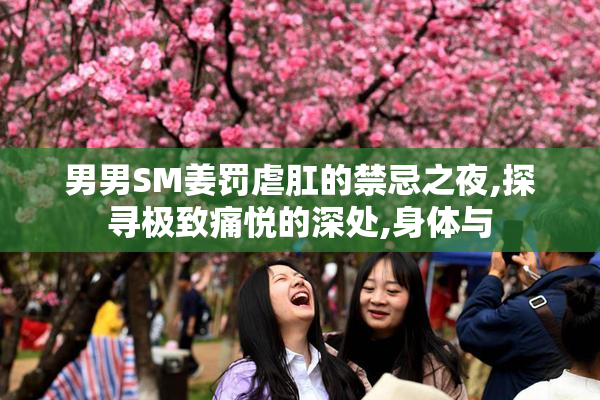 男男SM姜罚虐肛的禁忌之夜,探寻极致痛悦的深处,身体与