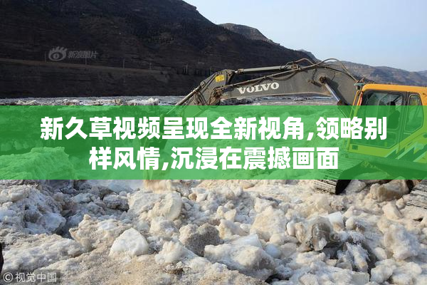新久草视频呈现全新视角,领略别样风情,沉浸在震撼画面