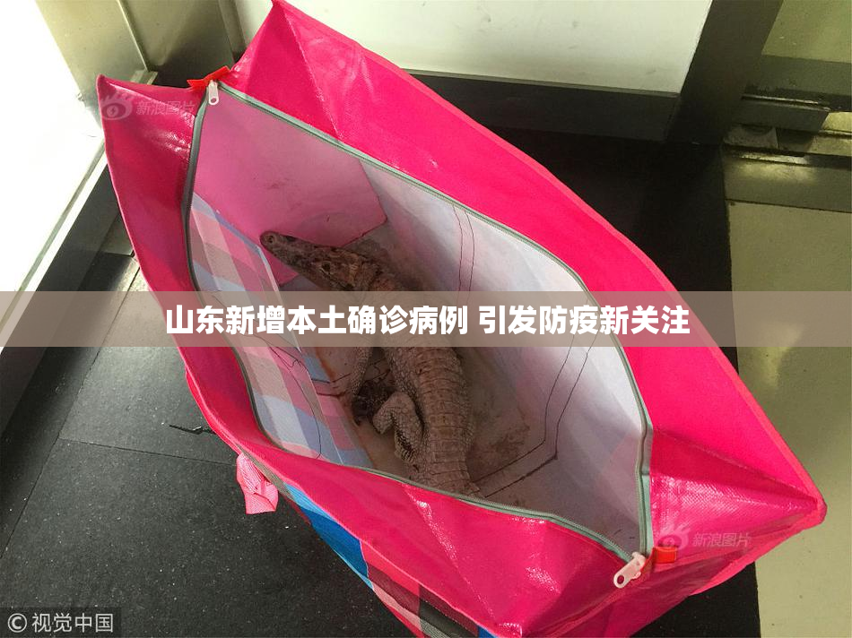 山东新增本土确诊病例 引发防疫新关注