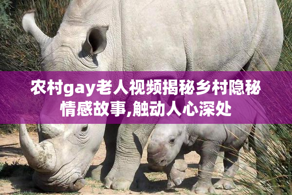 农村gay老人视频揭秘乡村隐秘情感故事,触动人心深处