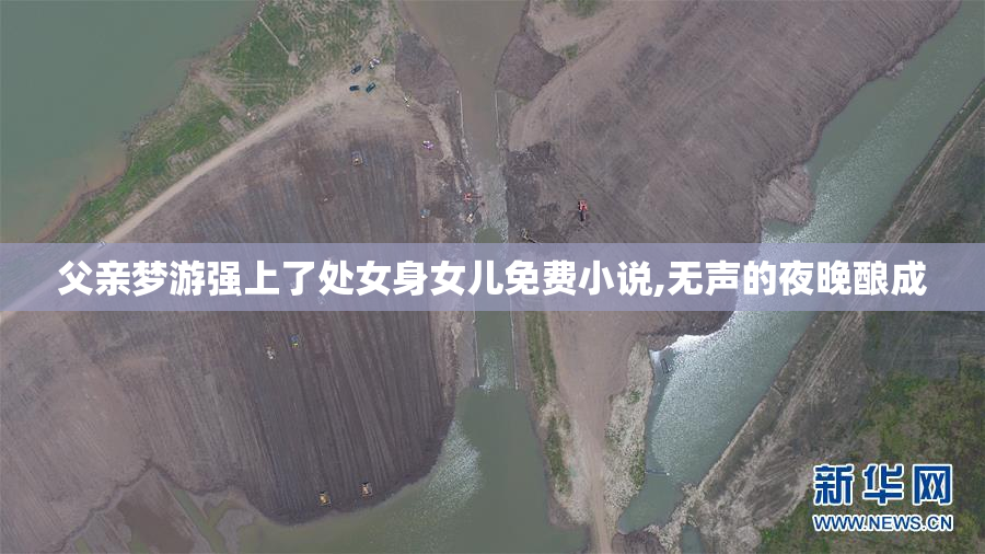 父亲梦游强上了处女身女儿免费小说,无声的夜晚酿成