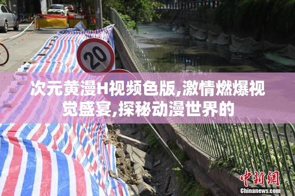 次元黄漫H视频色版,激情燃爆视觉盛宴,探秘动漫世界的