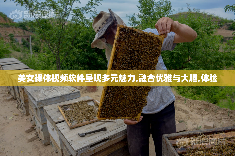 美女裸体视频软件呈现多元魅力,融合优雅与大胆,体验