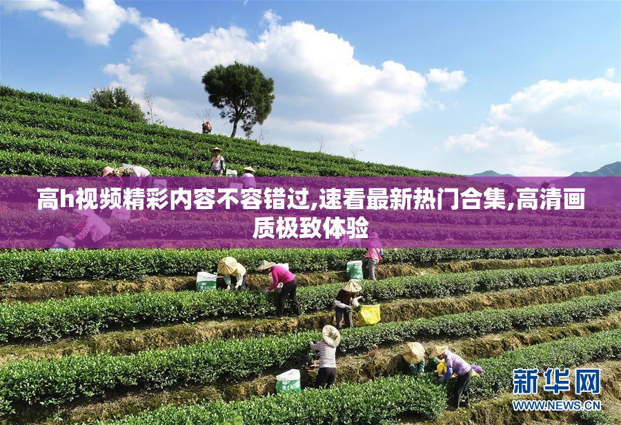 高h视频精彩内容不容错过,速看最新热门合集,高清画质极致体验