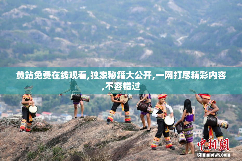 黄站免费在线观看,独家秘籍大公开,一网打尽精彩内容,不容错过