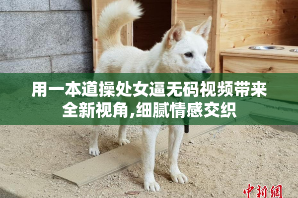 用一本道操处女逼无码视频带来全新视角,细腻情感交织