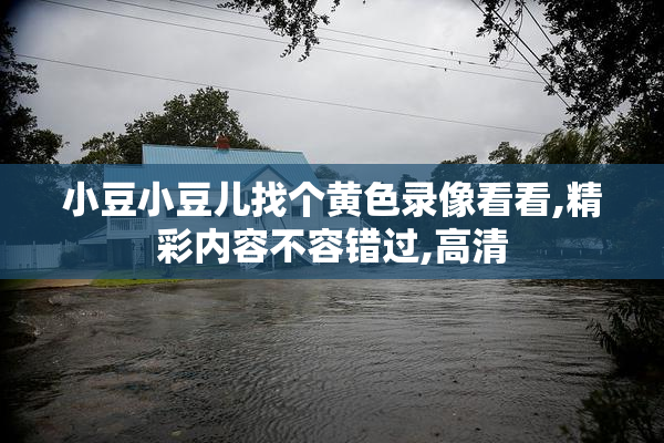 小豆小豆儿找个黄色录像看看,精彩内容不容错过,高清
