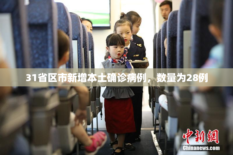31省区市新增本土确诊病例，数量为28例