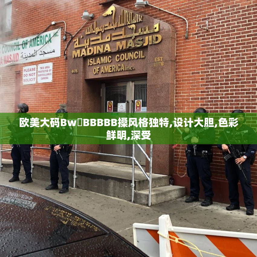 欧美大码Bw槡BBBBB搡风格独特,设计大胆,色彩鲜明,深受
