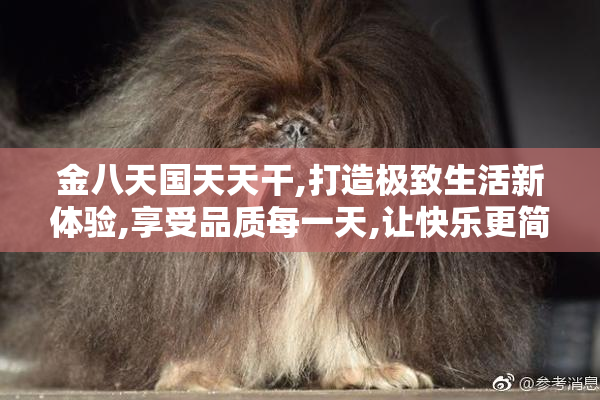 金八天国天天干,打造极致生活新体验,享受品质每一天,让快乐更简单
