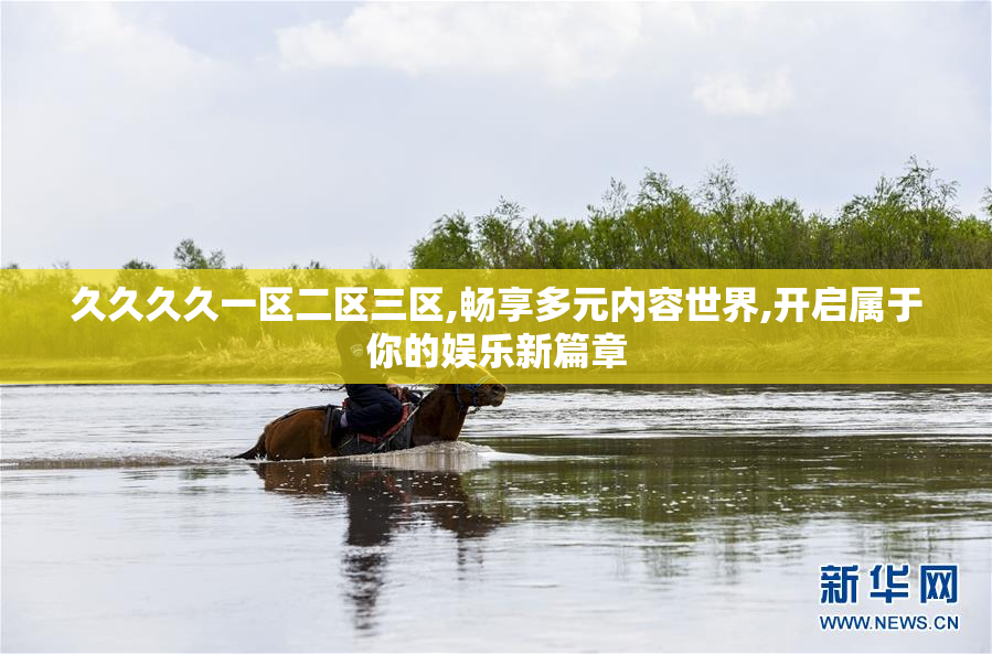 久久久久一区二区三区,畅享多元内容世界,开启属于你的娱乐新篇章