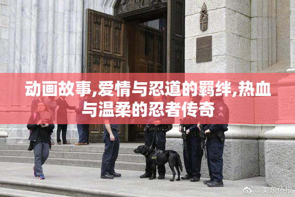 动画故事,爱情与忍道的羁绊,热血与温柔的忍者传奇