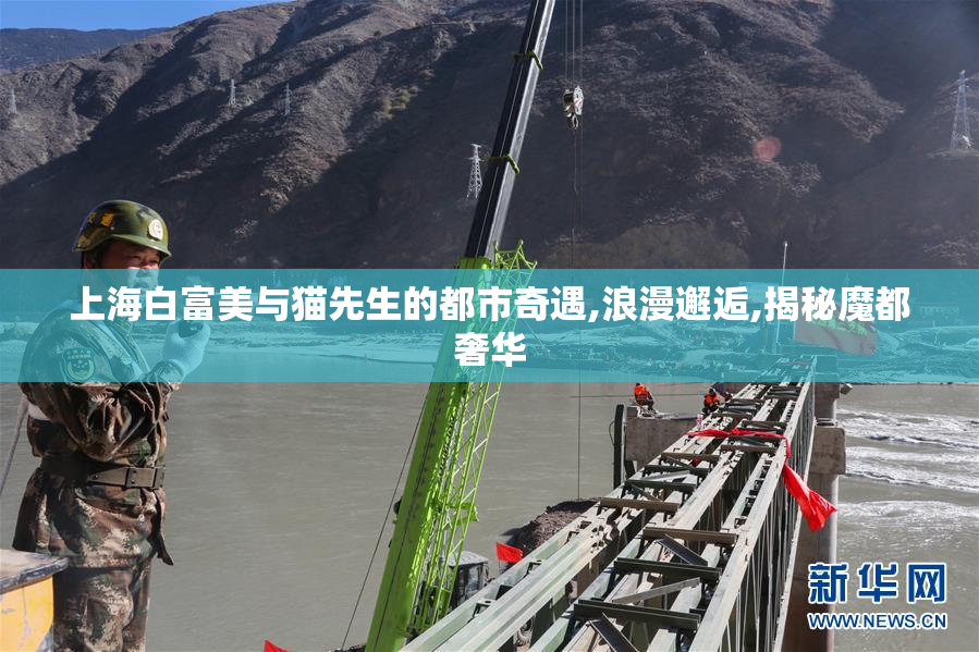 上海白富美与猫先生的都市奇遇,浪漫邂逅,揭秘魔都奢华