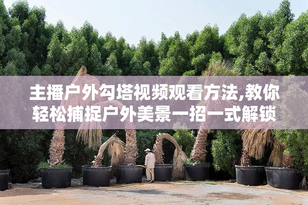 主播户外勾塔视频观看方法,教你轻松捕捉户外美景一招一式解锁勾塔